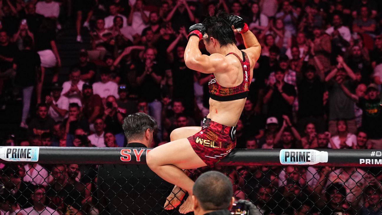 了顽强的斗 了顽强的斗